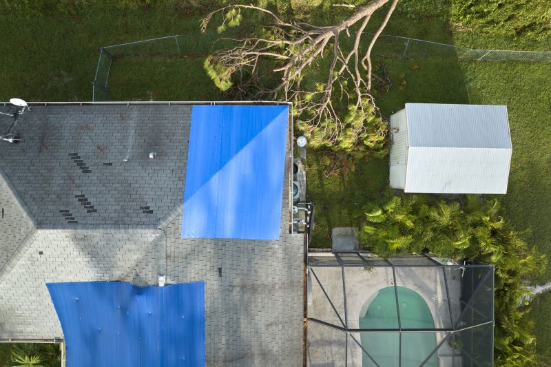 Roof Tarp Installation