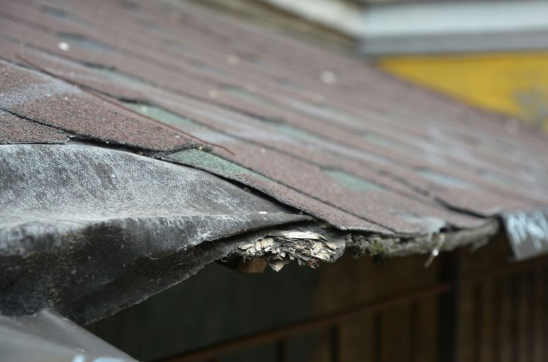Causes Of Asphalt Shingle Damage And When Repair Is Enough